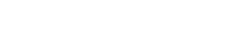 Insane Stone ®